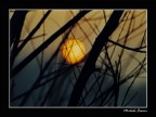 Nikon F65  Nikkor 70-300