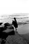 serie: il mare d'inverno