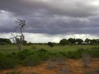 Africa