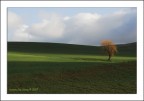 Sulla scena...