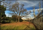 Giardini d'inverno