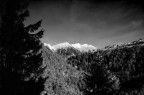 L'albero e le Montagne