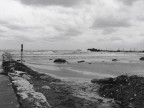 darsena rimini