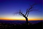 Qui c' forse un po' pi di personalit?