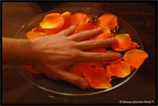 La mano dei Fiori