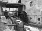 mulino..