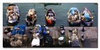 Pesca e colori