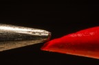 La Matita e il Colore