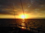 alzataccia alla mattina, macchina fotografica e canna da pesca... cosa vuoi di piu' dalla vita