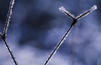 ice geomerty