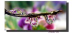 piccoli riflessi