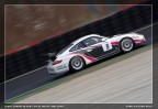 Test FIA GT... professione panning...