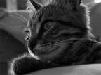 Img2006_09_03-16-29-27