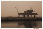 Pesca