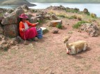 Peru 5