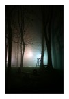 Forgotten Park