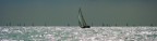 Sailing