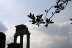Controluce di un dettaglio del Foro Romano