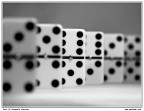 Domino