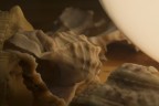Macro 3