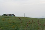 Casetta campaga