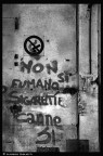 Scelte di vita...
