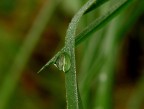 saldatura!!!
