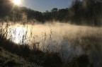 nebbia sull'Adda