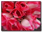 Fiori