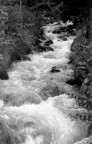 Torrente alpino