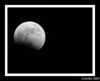 Prima foto della luna