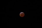 La Luna nella mia stanza