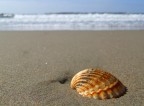 Mare d'inverno