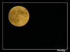 Luna piena presa dalla mia coolpix 8700... che pi di cos non pu fare...