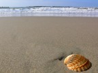 Spiaggia ad Anzio.