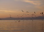 Tramonto al lago