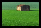Green Grass