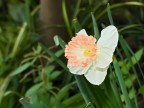 Una macro semplice semplice