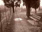 La mia prima foto.
Ho un certo legame affettivo... :-)

L'ho ridimensionata di molto, spero che sia apprezzabile lo stesso !