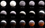 ECLISSI DI LUCA COMPOSIZIONE