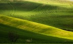 pensieri in verde