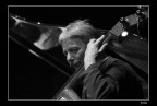 Ares Tavolazzi