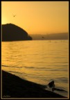 calma apparente