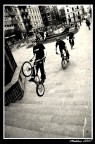 trial