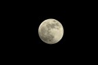 Tamron 70-300 crop a 300mm