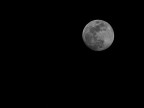 Luna...