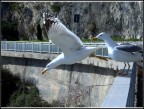 partenza