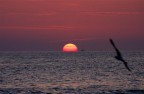 Tramonto ad Ostia