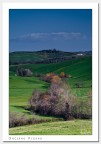 Scorcio di Campagna