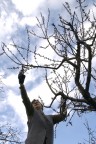Lavoro primaverile